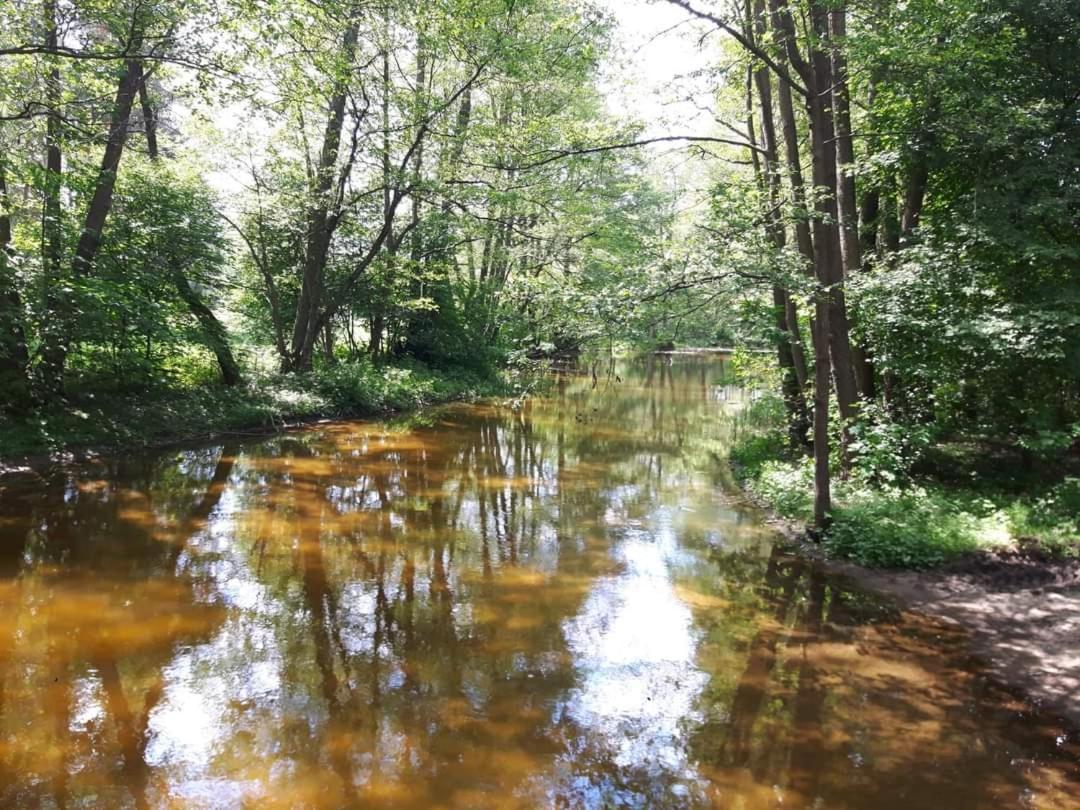 Mazury Domek Caloroczny Pelnik Jezioro Las Esterno foto